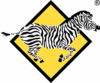 ZEBRA EASY CONCRETE
